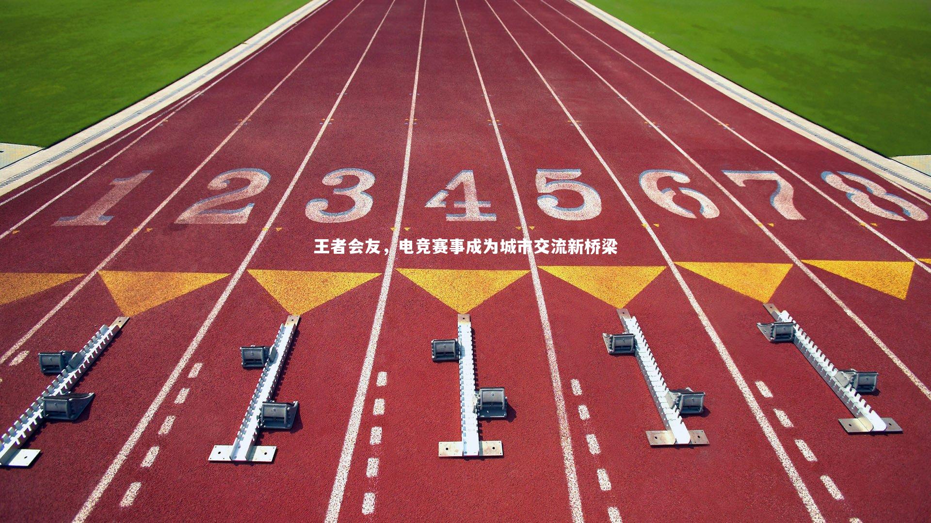 九游体育官网：王者会友，电竞赛事成为城市交流新桥梁-第2张图片-九游体育