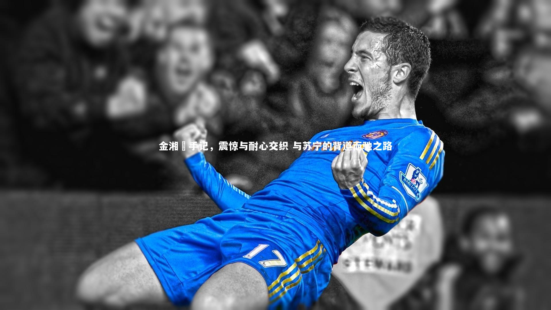 九游体育-金湘勳手记,震惊与耐心交织 与苏宁的背道而驰之路-第1张图片-九游体育 九游体育-金湘勳手记,震惊与耐心交织 与苏宁的背道而驰之路-第1张图片-九游体育